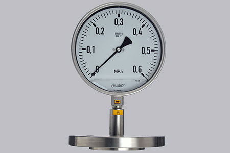 Đồng hồ đo áp suất dạng màng Aplisens MS-100KS